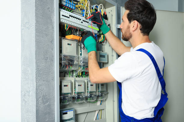 Best Electrical System Inspection  in Washington, IL